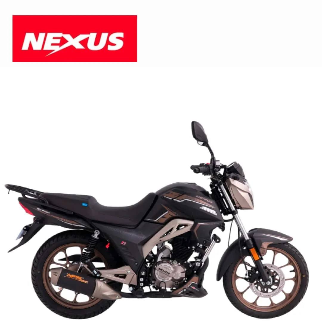 Nexus 150 Puma, vista 2