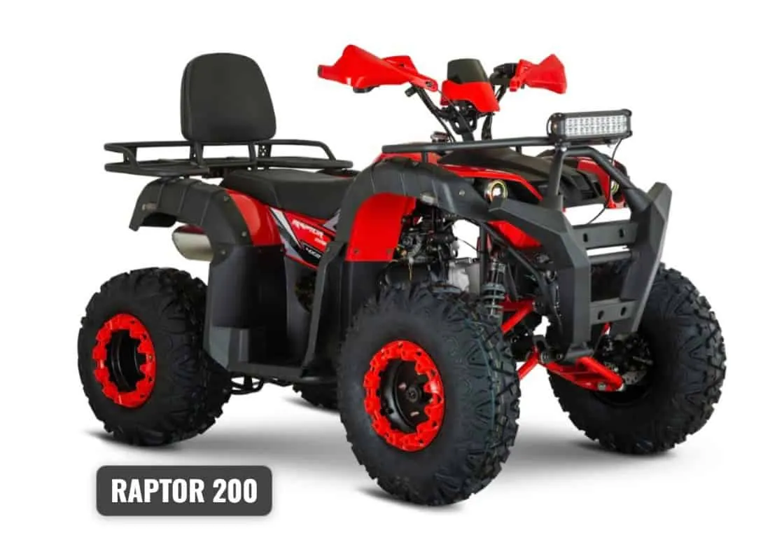 Rezzio Raptor 200 ATV