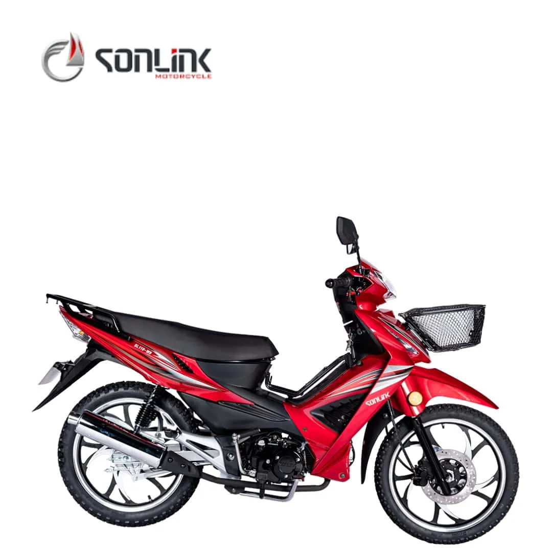 Sonlink SL110-W9, vista 2